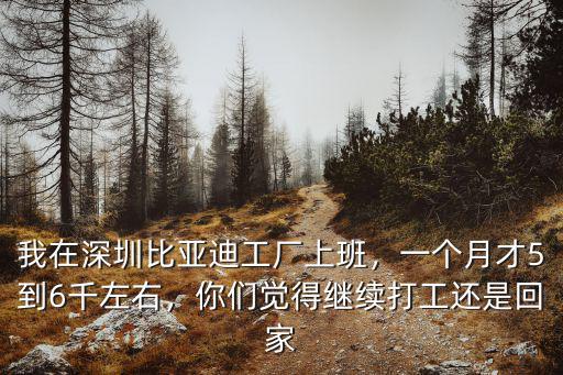 我在深圳比亞迪工廠上班，一個月才5到6千左右，你們覺得繼續打工還是回家