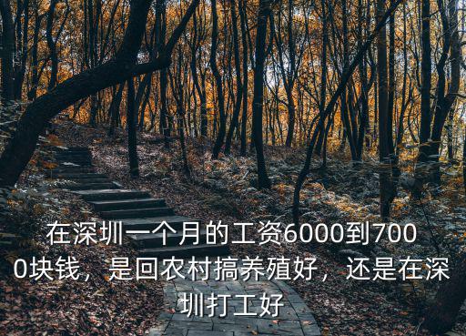 在深圳打工一個月多少錢,還是在深圳打工好