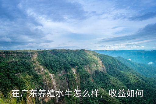 在廣東養(yǎng)殖水牛怎么樣，收益如何