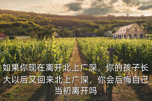 如果你現在離開北上廣深，你的孩子長大以后又回來北上廣深，你會后悔自己當初離開嗎