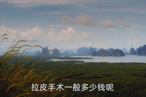拉皮手術一般多少錢呢