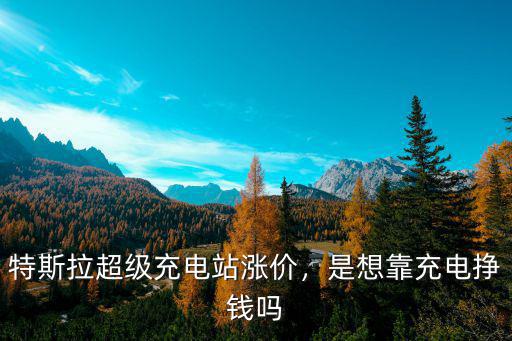 特斯拉的充電樁多少錢濟寧有嗎,是想靠充電掙錢嗎