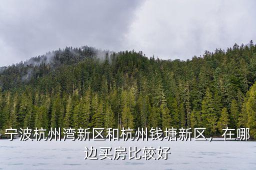 杭州灣新區拍了多少地,劍指杭州灣新區