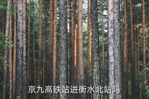 衡水北站到濟南站坐高鐵要經(jīng)過多少站,京九高鐵衡水有哪幾站