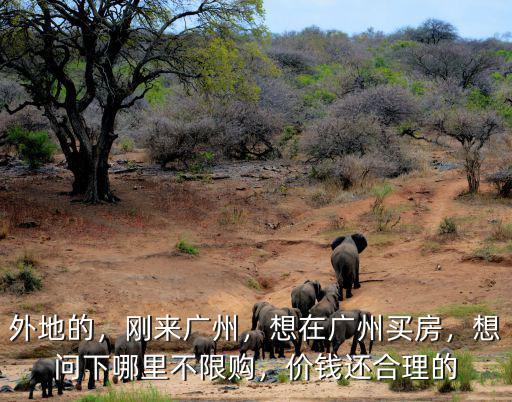 想在廣州買房在哪里找,想在廣州買房