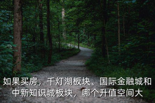 如果買房，千燈湖板塊、國際金融城和中新知識(shí)城板塊，哪個(gè)升值空間大