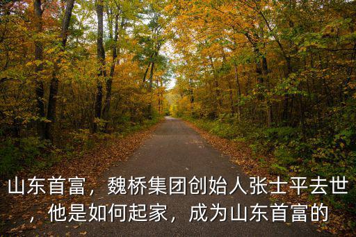 山東首富資產(chǎn)是多少,成為山東首富的