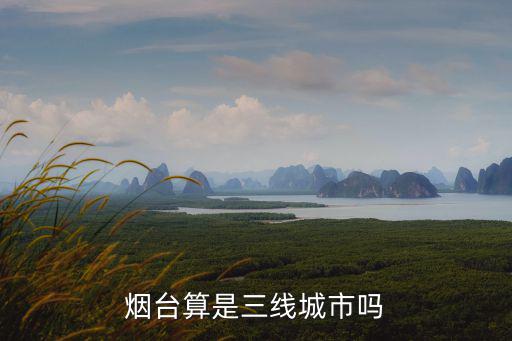 煙臺有多少個地級市,山東省有多少個地級市
