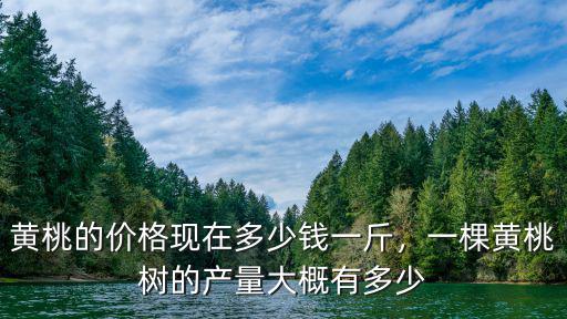 煙臺哪里產黃桃產地多少錢一斤,黃桃的價格現在多少錢一斤