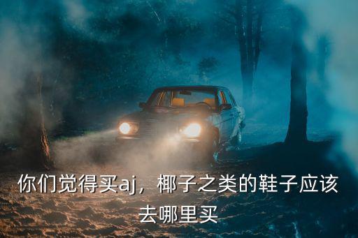 你們覺得買aj，椰子之類的鞋子應該去哪里買
