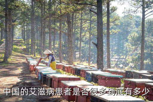 德州多少艾滋病患者,中國的艾滋病患者是否很多