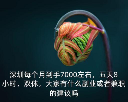 深圳每個月到手7000左右，五天8小時，雙休，大家有什么副業或者兼職的建議嗎