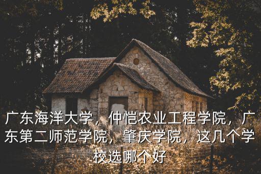 廣東海洋大學(xué)，仲愷農(nóng)業(yè)工程學(xué)院，廣東第二師范學(xué)院，肇慶學(xué)院，這幾個學(xué)校選哪個好