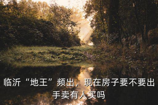 臨沂地王華府多少錢(qián),臨沂地王頻出