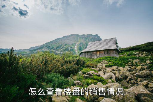 怎么查看樓盤的銷售情況