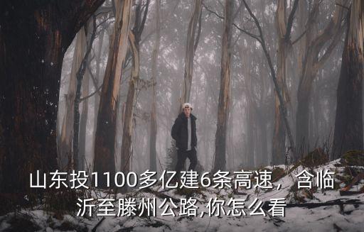 山東投1100多億建6條高速，含臨沂至滕州公路,你怎么看