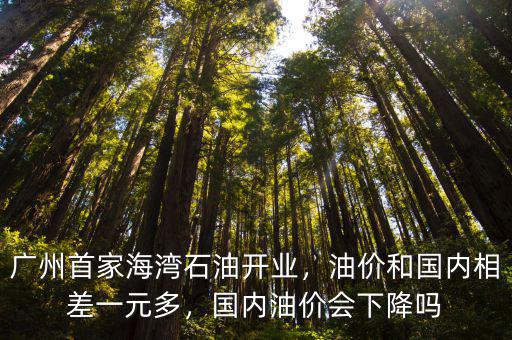 廣州海灣石油是哪里的油,廣州首家海灣石油開業