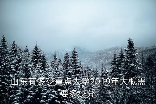 青島大學(xué)代號(hào)是多少2019,2019年大概需要多少分