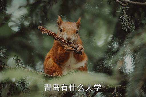 青島市區有多少大學,青島有哪些大學