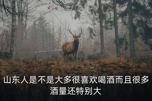 山東人喝酒多少瓶,山東人為什么能喝酒