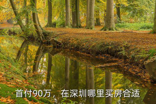 首付90萬，在深圳哪里買房合適