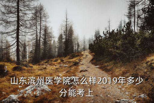 山東濱州醫(yī)學(xué)院怎么樣2019年多少分能考上