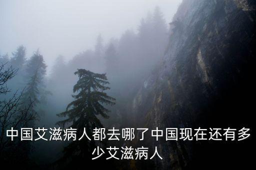 泰安市有多少艾滋病人,中國現在還有多少艾滋病人