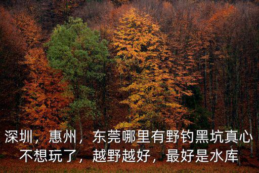 深圳，惠州，東莞哪里有野釣黑坑真心不想玩了，越野越好，最好是水庫