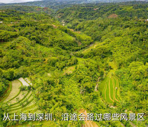 上海到深圳路過哪里,從上海到深圳