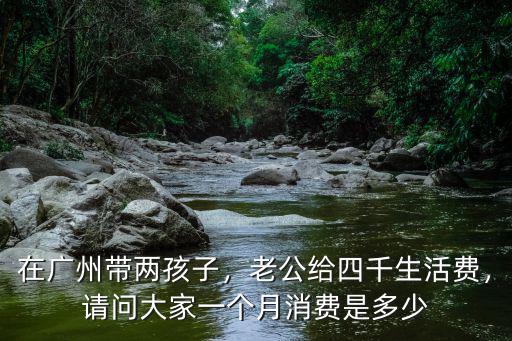 在廣州帶兩孩子，老公給四千生活費，請問大家一個月消費是多少