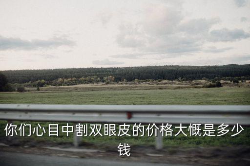 你們心目中割雙眼皮的價格大慨是多少錢