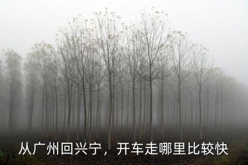 廣州回興寧哪里可以站外上車,從廣州回興寧