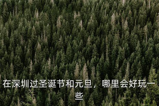 在深圳過(guò)圣誕節(jié)和元旦，哪里會(huì)好玩一些