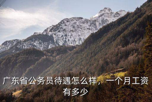 河源公務員待遇工資多少,一個月工資有多少