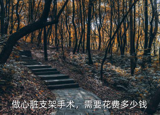 中山醫(yī)院安裝心臟支架要多少錢,做心臟支架手術(shù)