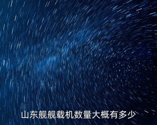 山東艦艦載機數量大概有多少