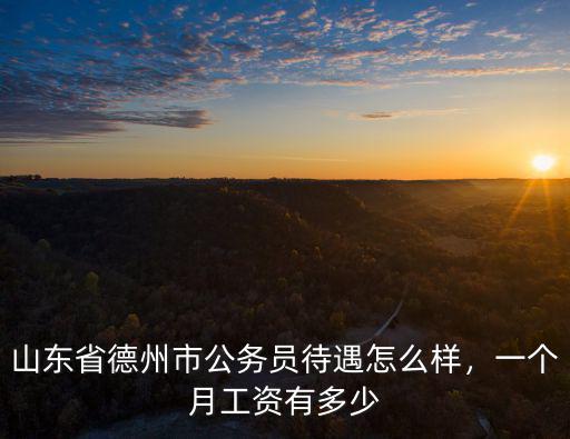 德州市直工資多少,一個月工資有多少