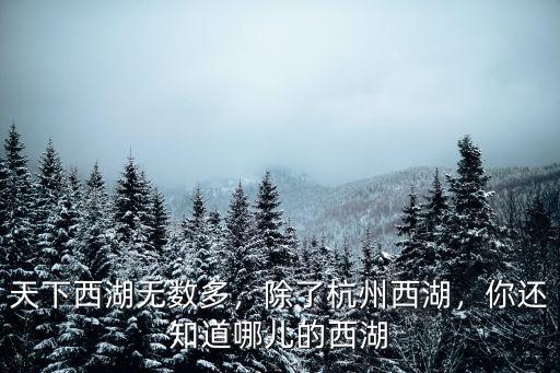 阜陽西湖比杭州西湖大多少,除了杭州西湖