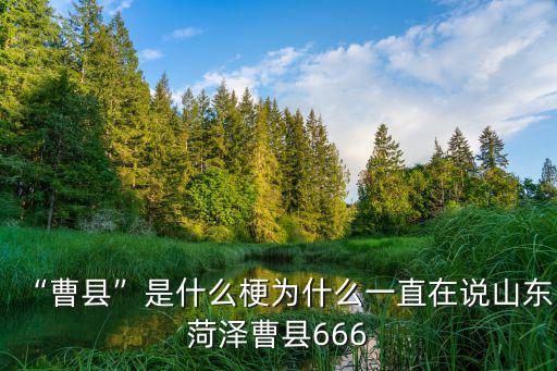 菏澤市曹縣人均月薪多少,曹縣是什么梗