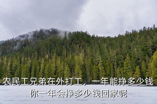 農民工兄弟在外打工，一年能掙多少錢你一年會掙多少錢回家呢