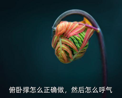 深圳人怎么做俯臥撐,做俯臥撐怎么練肱二頭肌