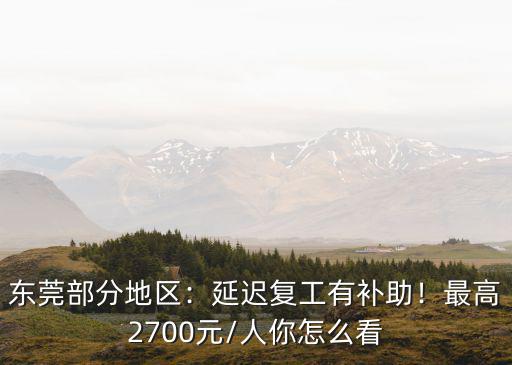 東莞部分地區：延遲復工有補助！最高2700元/人你怎么看
