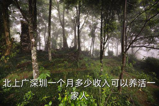 北上廣深圳一個月多少收入可以養活一家人