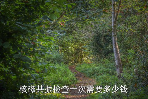 濰坊人民醫院做一次核磁共振多少錢一次,核磁共振檢查一次需要多少錢