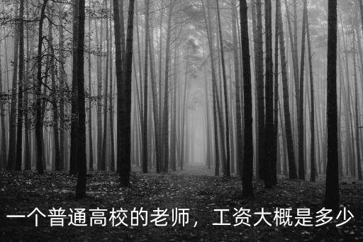 一個普通高校的老師，工資大概是多少