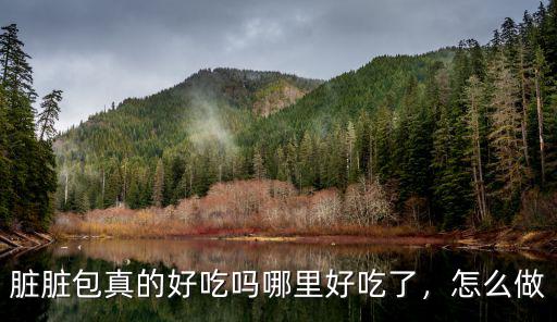 臟臟包真的好吃嗎哪里好吃了，怎么做