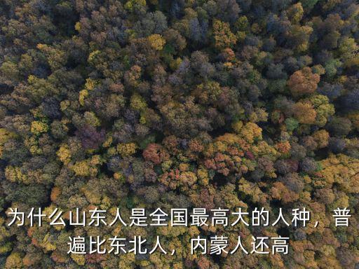 山東有多少美國人,東北人中有多少山東人的后代
