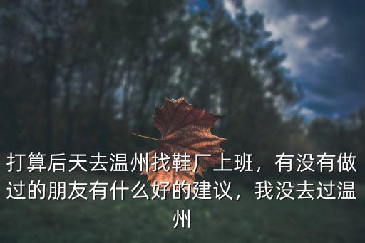 打算后天去溫州找鞋廠上班，有沒有做過的朋友有什么好的建議，我沒去過溫州