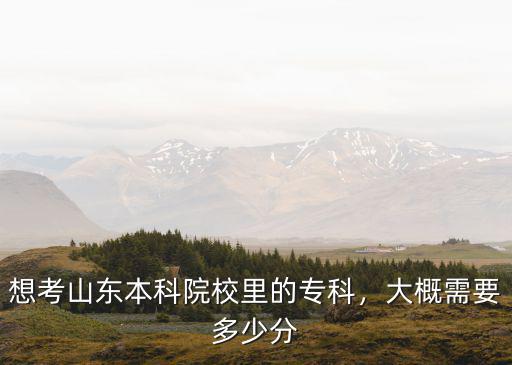 山東考專科線要多少分,上大專需要多少分