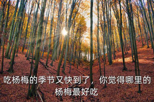 吃楊梅的季節(jié)又快到了，你覺得哪里的楊梅最好吃